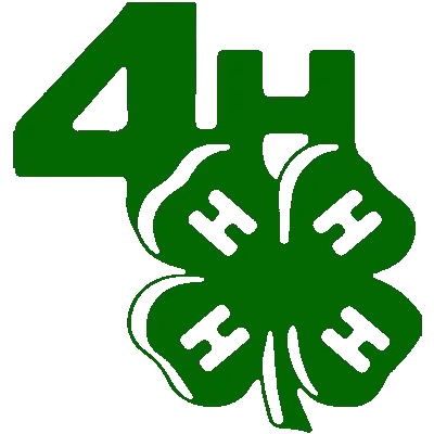 4-H clover logo representing Grey Mixon's Henry County, TN 4-H livestock project