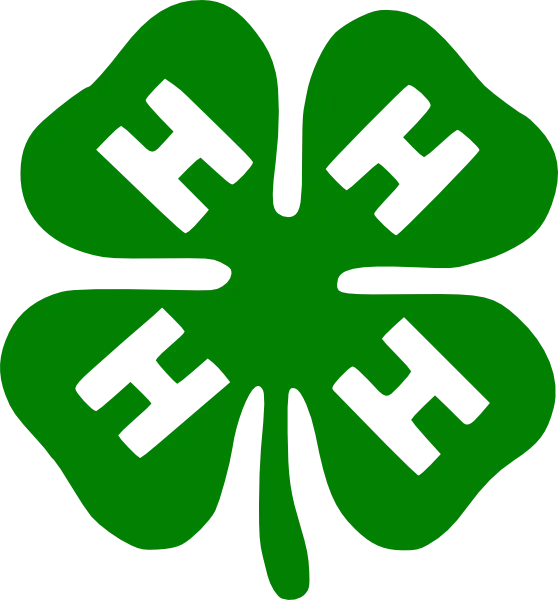 4-H clover emblem representing Grey Mixon's Henry County 4-H livestock program