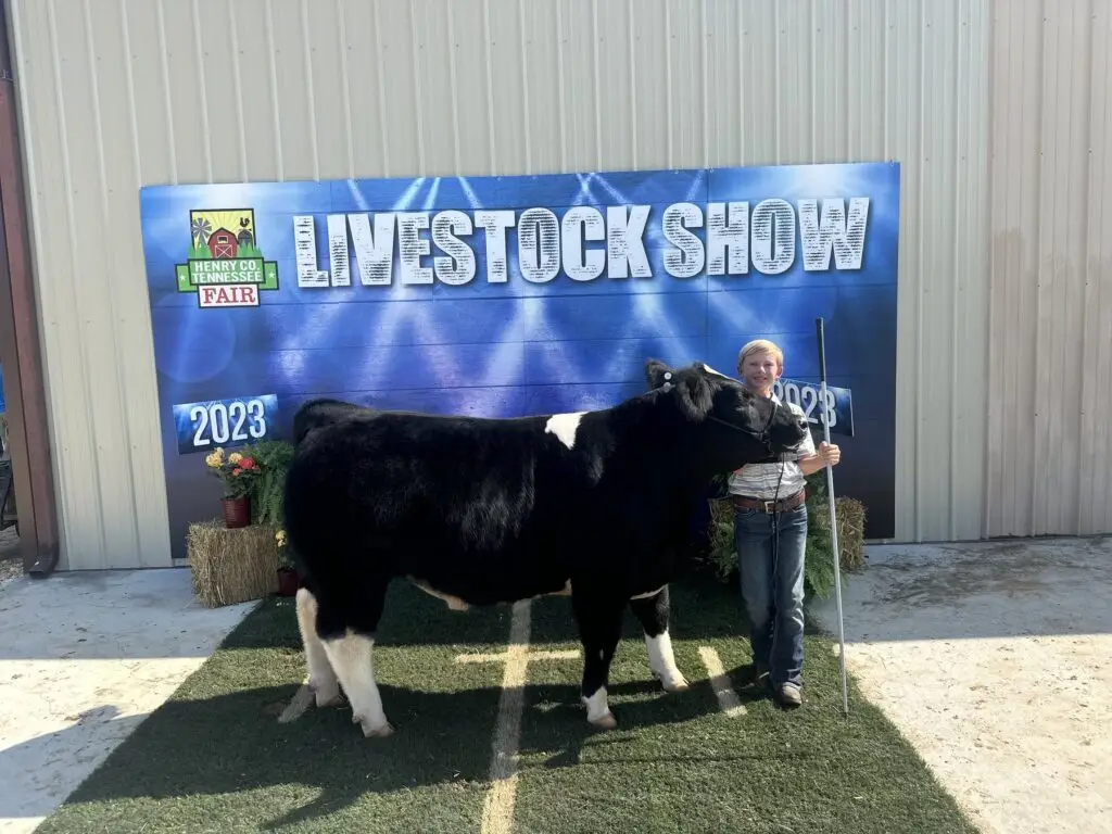 Grey Mixon with her 2023 steer Chip, raised for the Henry County Youth Livestock Show in Paris, TN