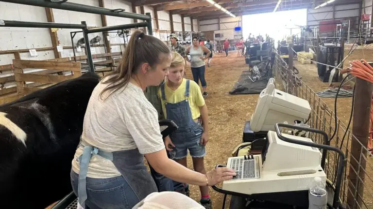 Grey Mixon with her steer Chip, her 2023 Henry County 4-H livestock project