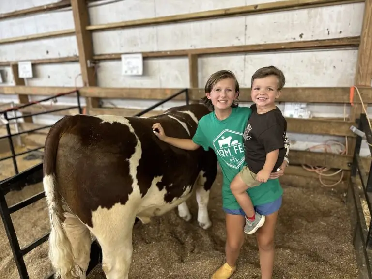 Grey Mixon with her steer Dion, her 2024 Henry County 4-H livestock project