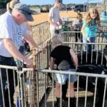 Grey Mixon and her hog Marshmallow at the Okeechobee Youth Livestock Show, 2022