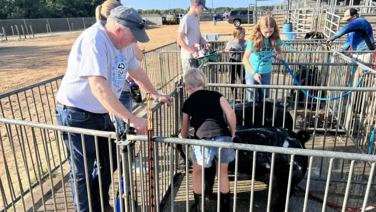 Grey Mixon and her hog Marshmallow at the Okeechobee Youth Livestock Show, 2022