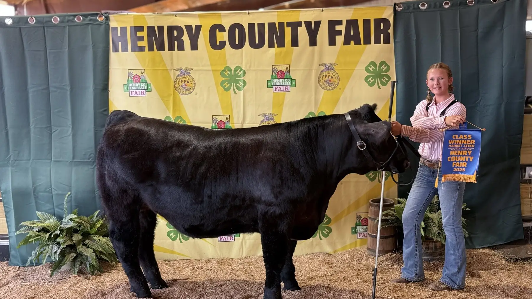 Grey Mixon with her 2025 steer Sir Loin, raised for the Henry County Youth Livestock Show in Paris, TN
