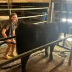 Grey Mixon with her steer Sir Loin, her 2025 Henry County 4-H livestock project