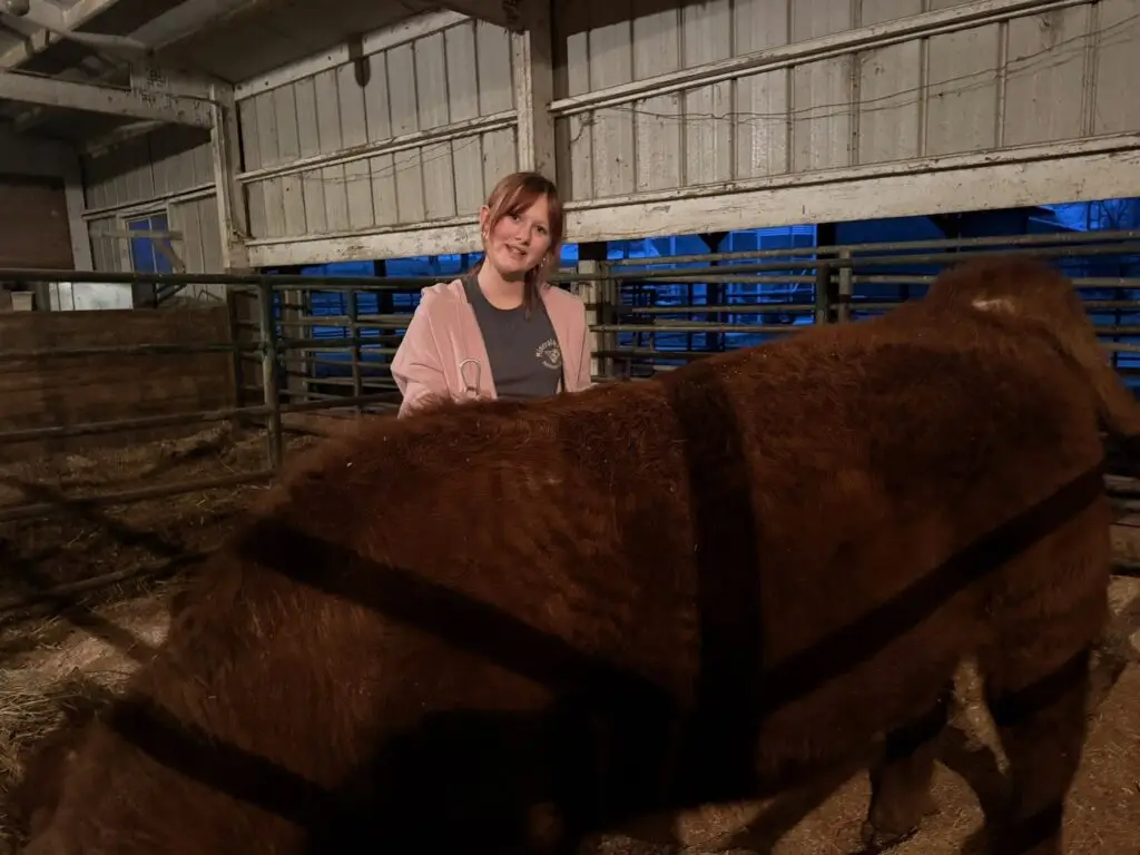 Grey Mixon with her steer as part of her Henry County 4-H livestock project in Paris, TN