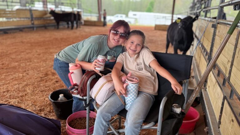 Grey Mixon working with her steer ahead of the Henry County Youth Livestock Show, Paris, TN
